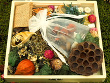 Load image into Gallery viewer, Fairy House Kit