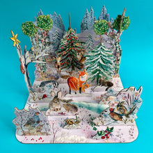 Load image into Gallery viewer, Wild Winter's Song 3-Dimensional Advent Calendar