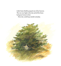Load image into Gallery viewer, <i>Little Sister Rabbit and the Fox</i> by Eva Eriksson and Ulf Nilsson