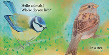 Load image into Gallery viewer, <i>Hello Animals, Where Do You Live?</i> by Loes Botman