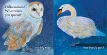 Load image into Gallery viewer, <i>Hello Animals, What Makes You Special?</i> by Loes Botman
