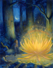 Load image into Gallery viewer, <i>The Blue Forest: Bedtime Stories for the Nights of the Week</i> by Luke Fischer, illustrated by Stephanie Young and Tim Smith