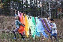 Load image into Gallery viewer, Play Silks