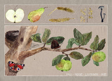 Load image into Gallery viewer, <i>Seasons on the Apple Tree</i> Postcard Collection by Judith Etzold
