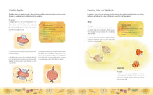 Load image into Gallery viewer, <i>The Children's Forest</i> by Dawn Casey, Anna Richardson, and Helen d'Ascoli