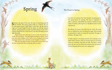 Load image into Gallery viewer, <i>The Children's Forest</i> by Dawn Casey, Anna Richardson, and Helen d'Ascoli