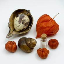 Load image into Gallery viewer, Fairy House Kit