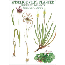 Load image into Gallery viewer, Edible Plants Stationery Folder with Set of 8 Note Cards