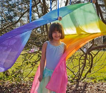 Load image into Gallery viewer, Giant Play Silks