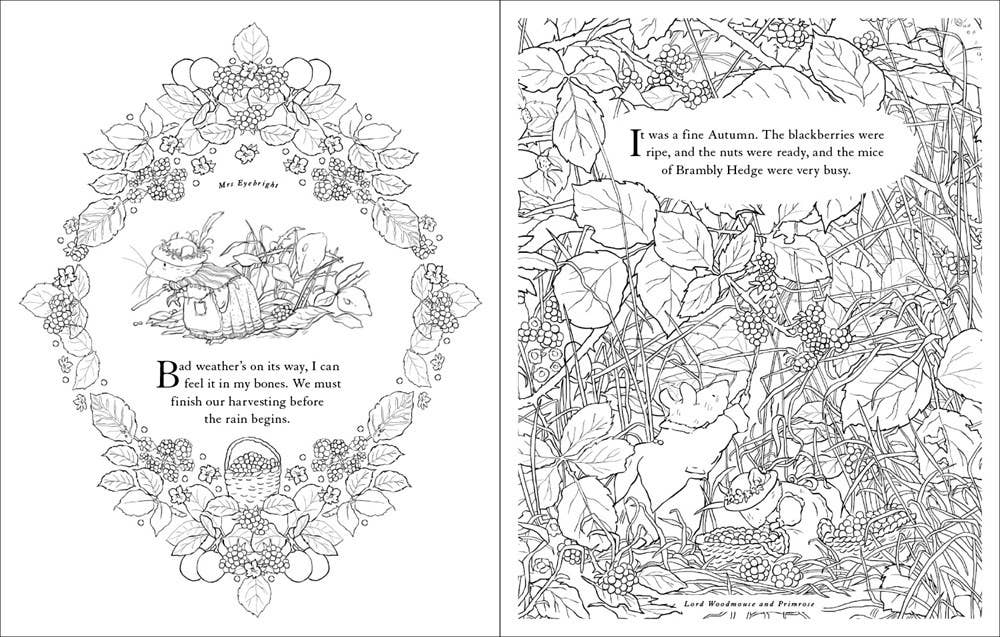 <i>Brambly Hedge Festive Coloring Book</i> by Jill Barklem