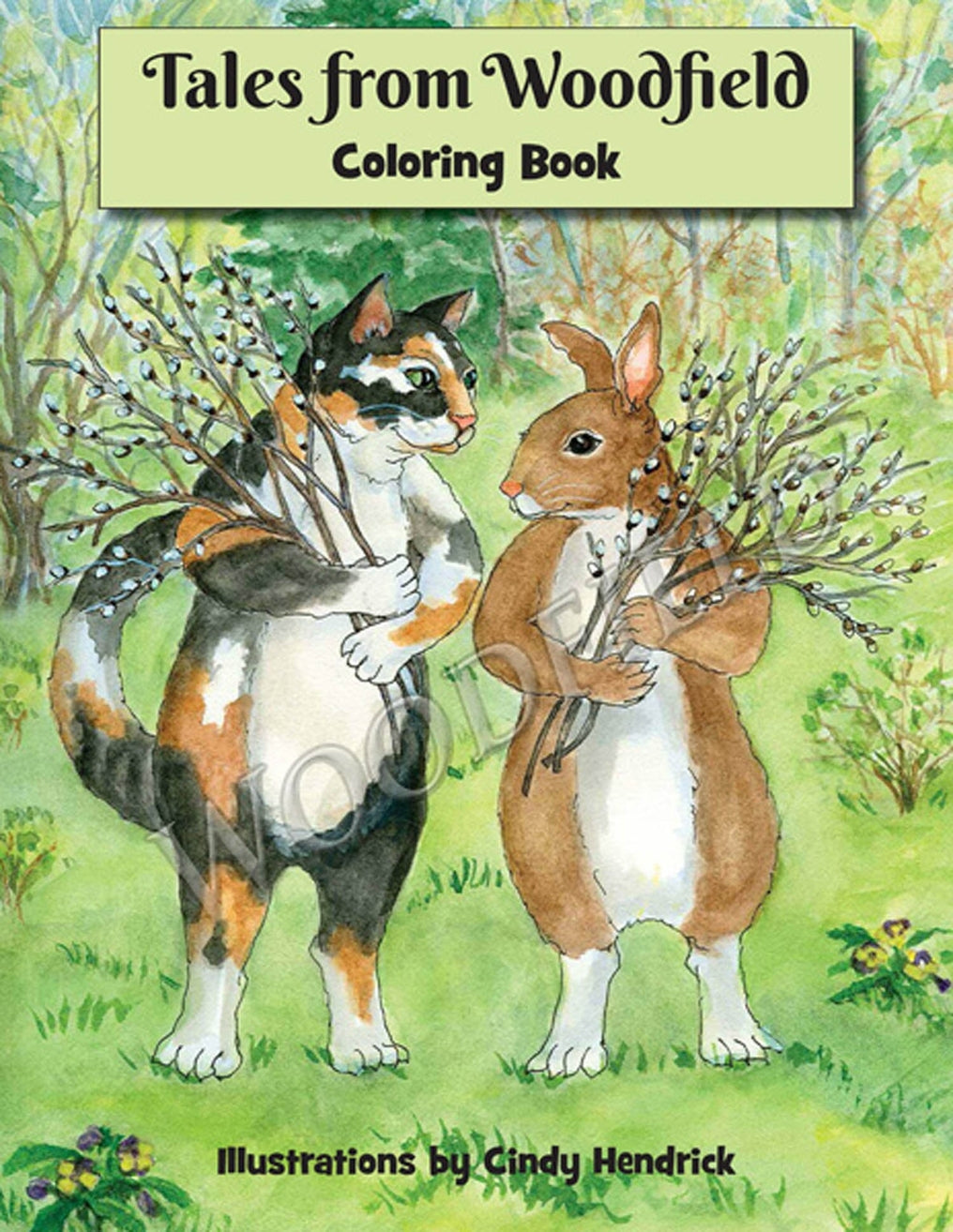 Tales from Woodfield Coloring Book