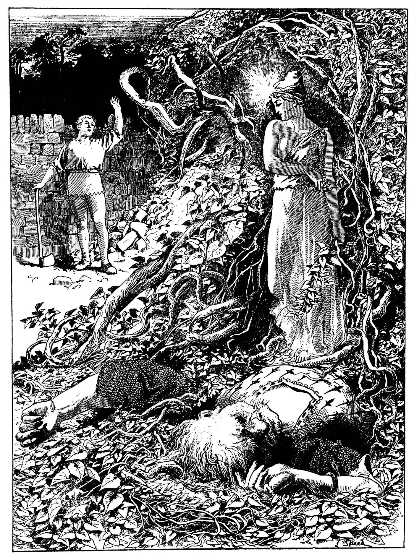 <i>The Red Fairy Book</i> by Andrew Lang