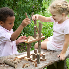 Load image into Gallery viewer, Branch Block Building Set
