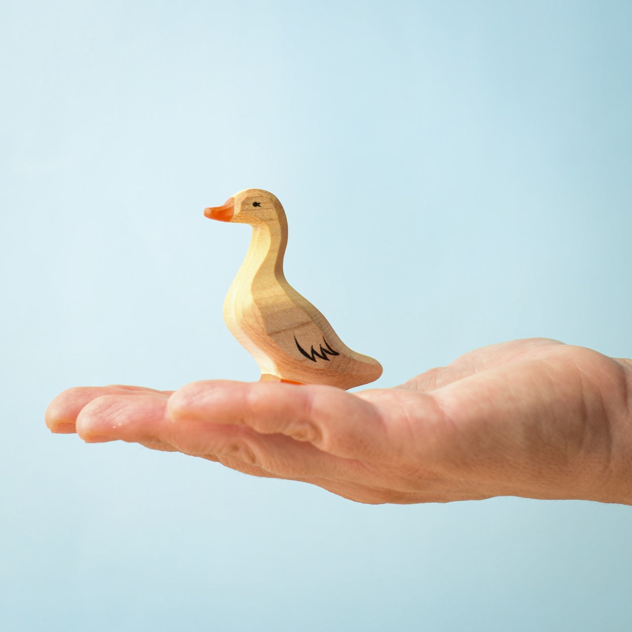 Wooden Duck