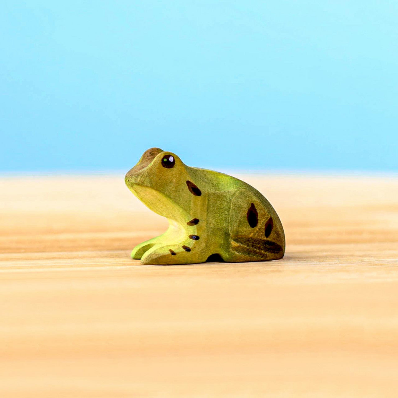 Wooden Frog