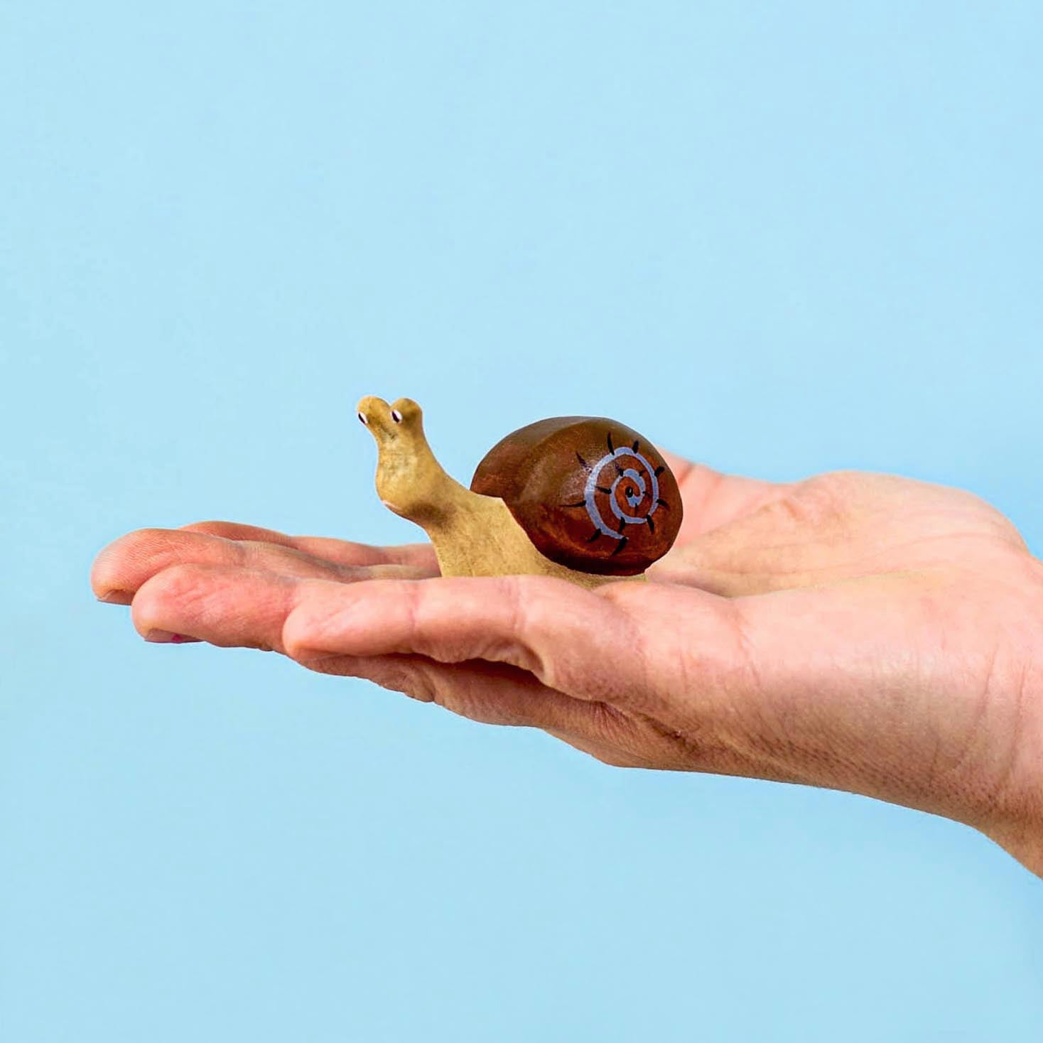 Wooden Snail