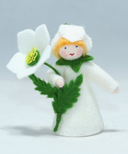 Load image into Gallery viewer, Christmas Rose Prince Felted Waldorf Doll - Two Skin Colors
