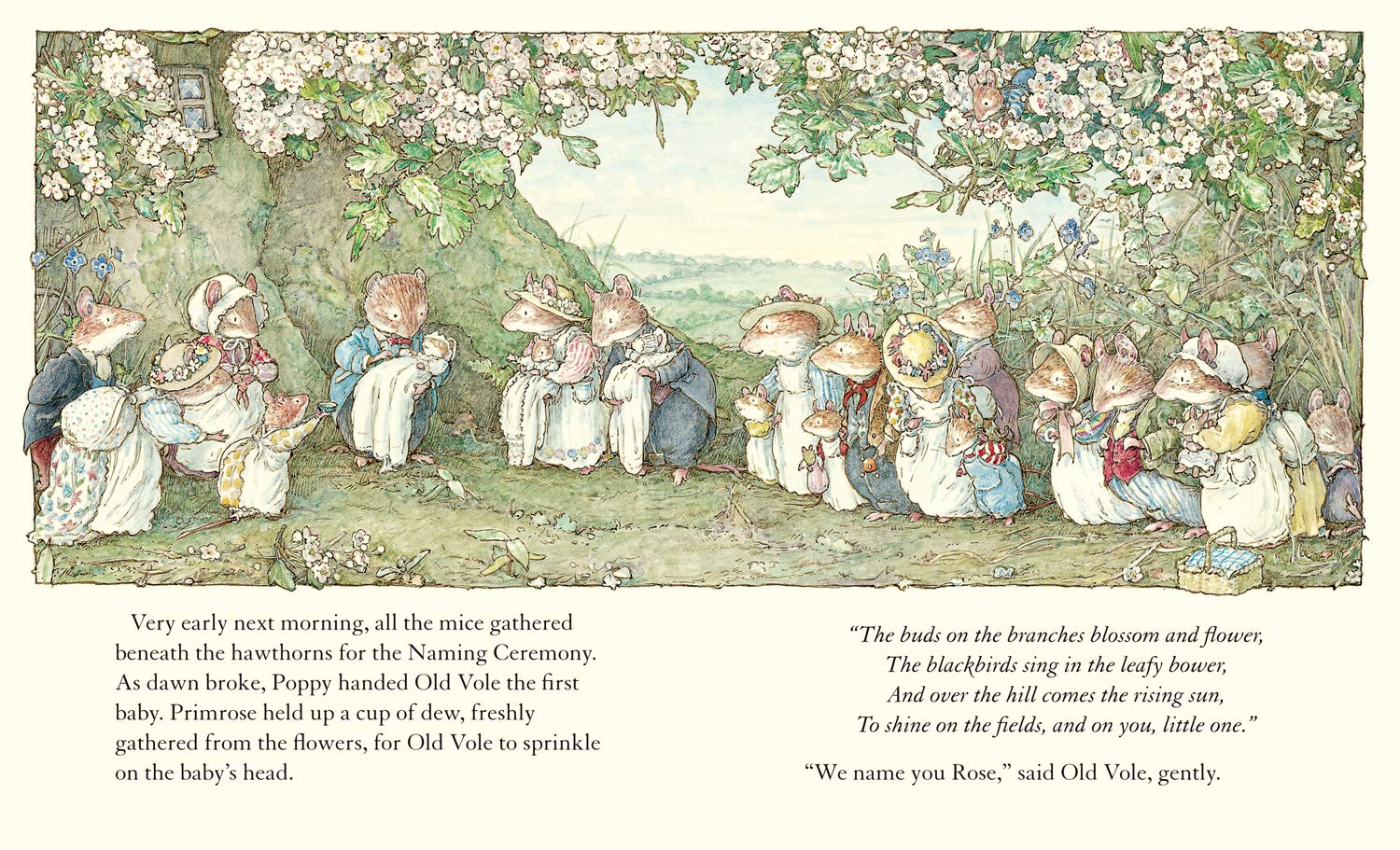 <i>Adventures in Brambly Hedge</i> by Jill Barklem