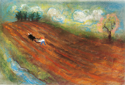 <i>The Harvest Story</i> by Elizabeth Reppel, with Kristn Ramsden, illustr. by Anne Stockton
