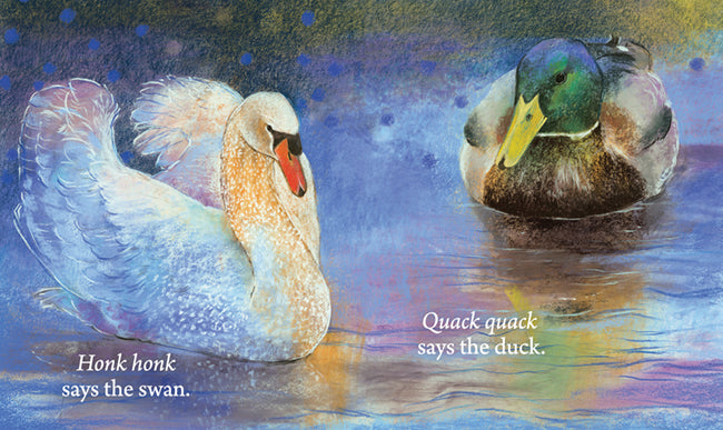 <i>Hello Birds, What Do You Say?</i> by Loes Botman