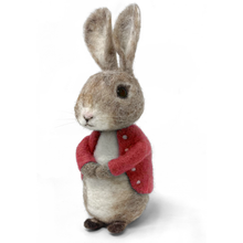 Load image into Gallery viewer, Bertie Bunny Needle Felting Kit
