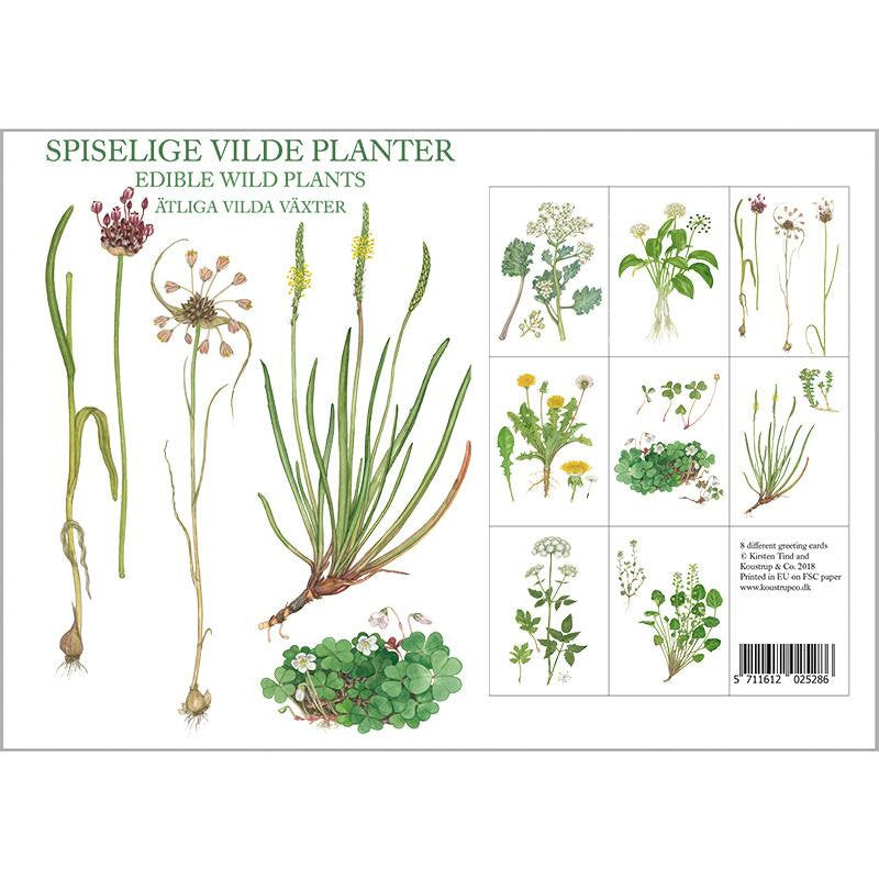 Edible Plants Stationery Folder with Set of 8 Note Cards
