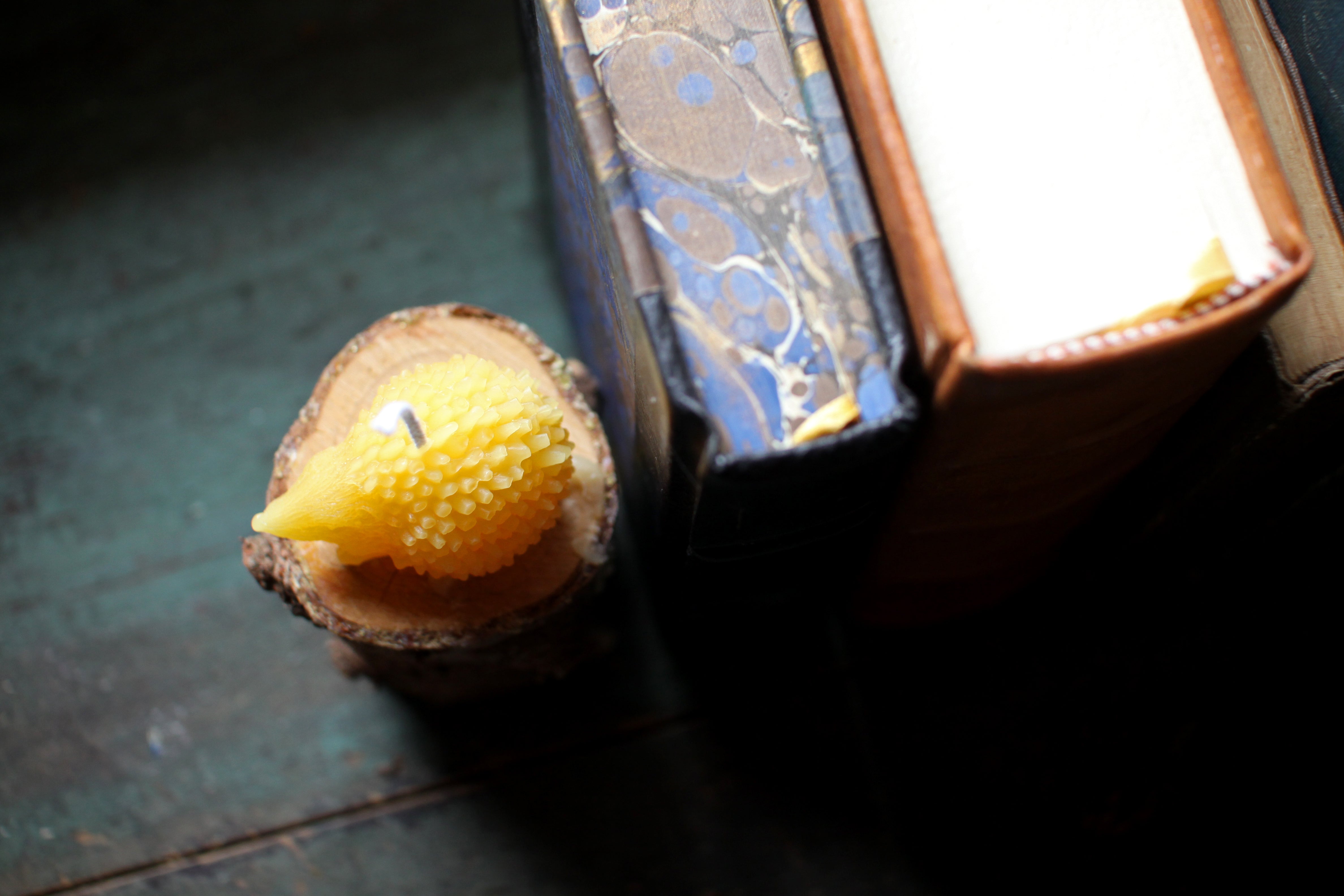 Beeswax Hedgehog Candle