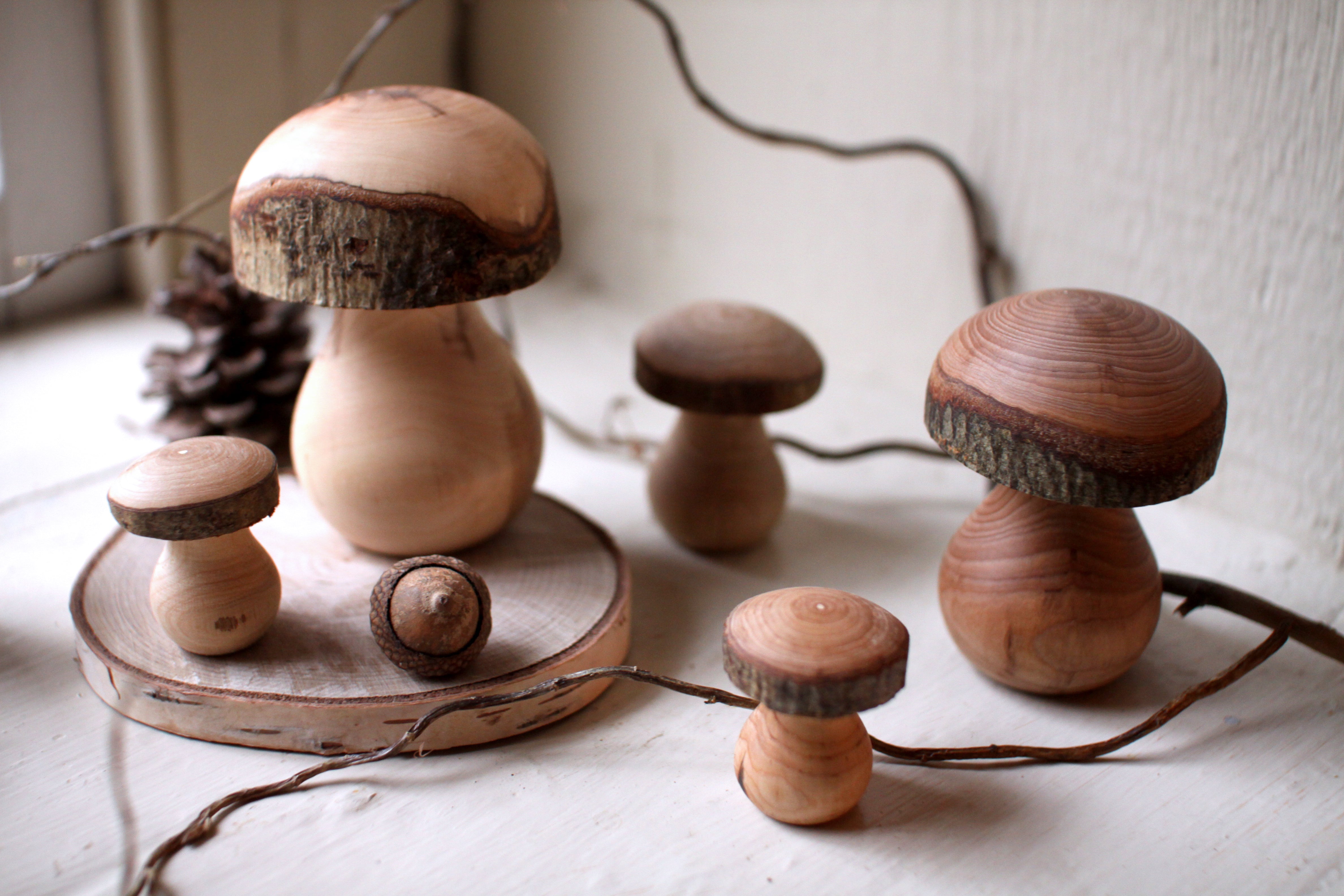 Wooden Toadstools