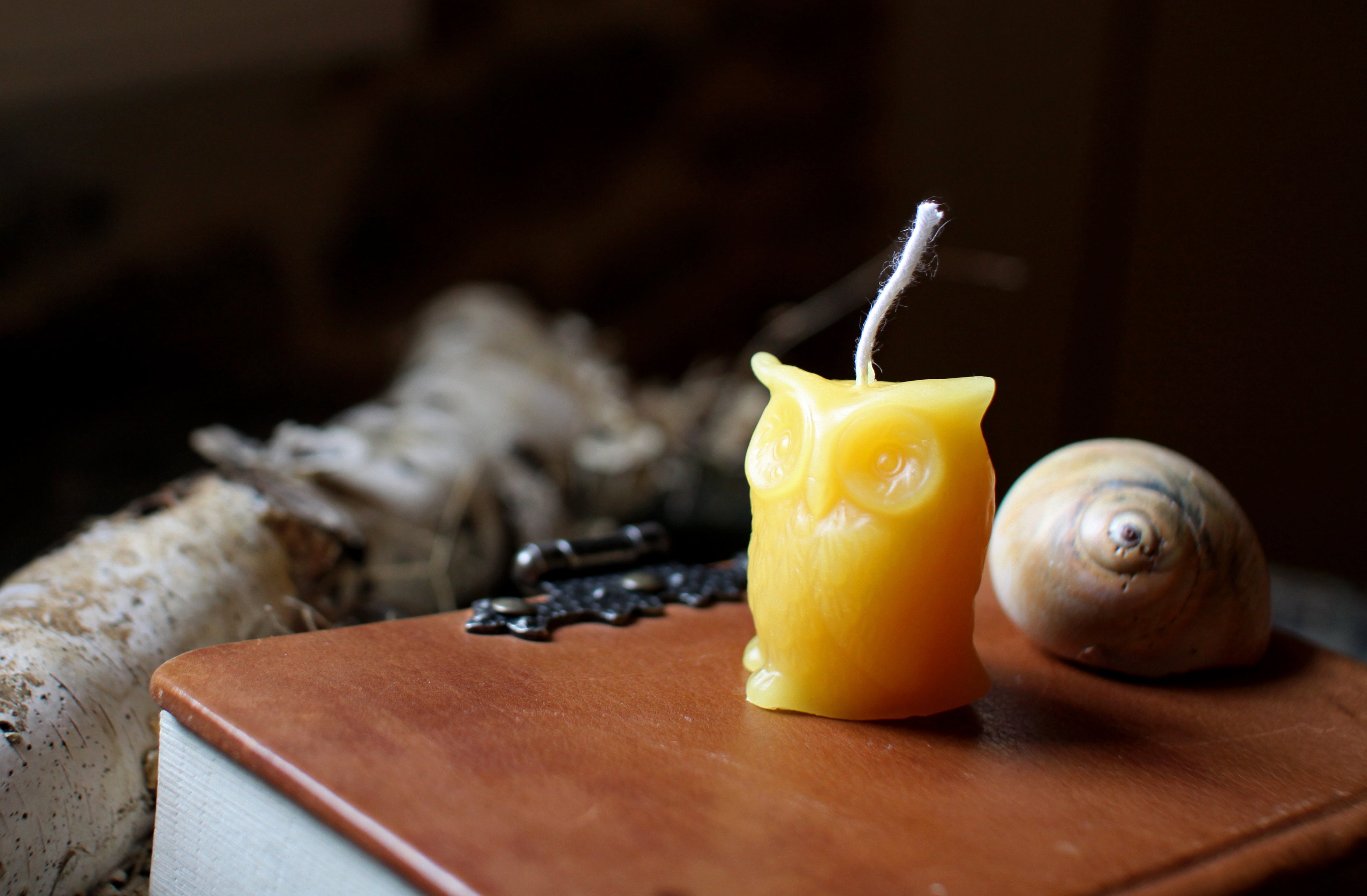Beeswax Owl Candle