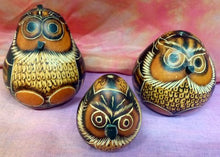 Load image into Gallery viewer, Hand-Carved Owl Gourd Shaker
