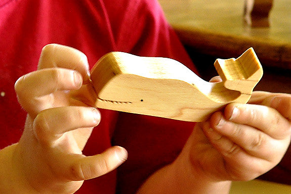 Under the Sea Animals Box Set